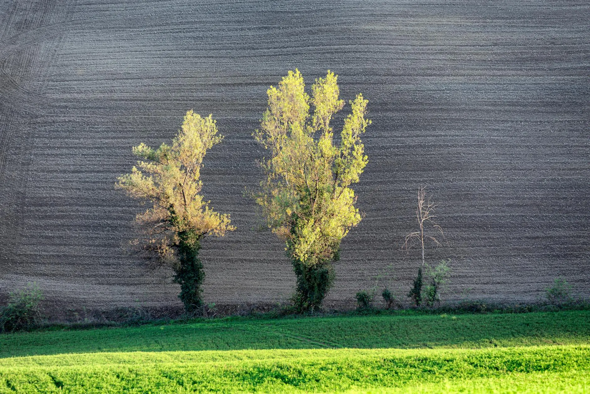 MSC GRANDIOSA İLE İTALYA RİVİERASI & COTE D’AZUR & BALEAR ADALARI - 2026