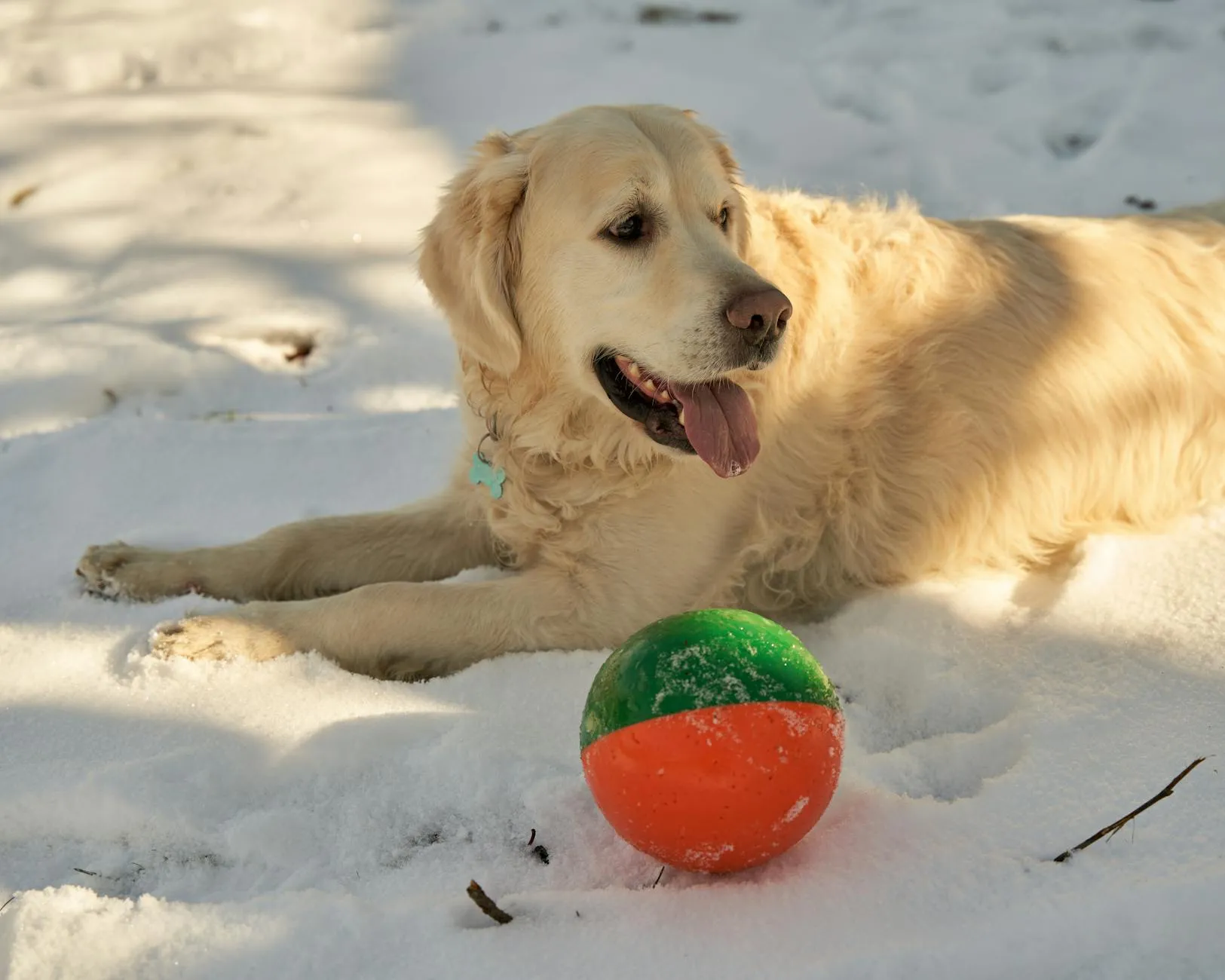 MSC EURIBIA İLE İSKANDİNAVYA & NORVEÇ FİYORTLARI - GEIRANGER - AJET - 2026