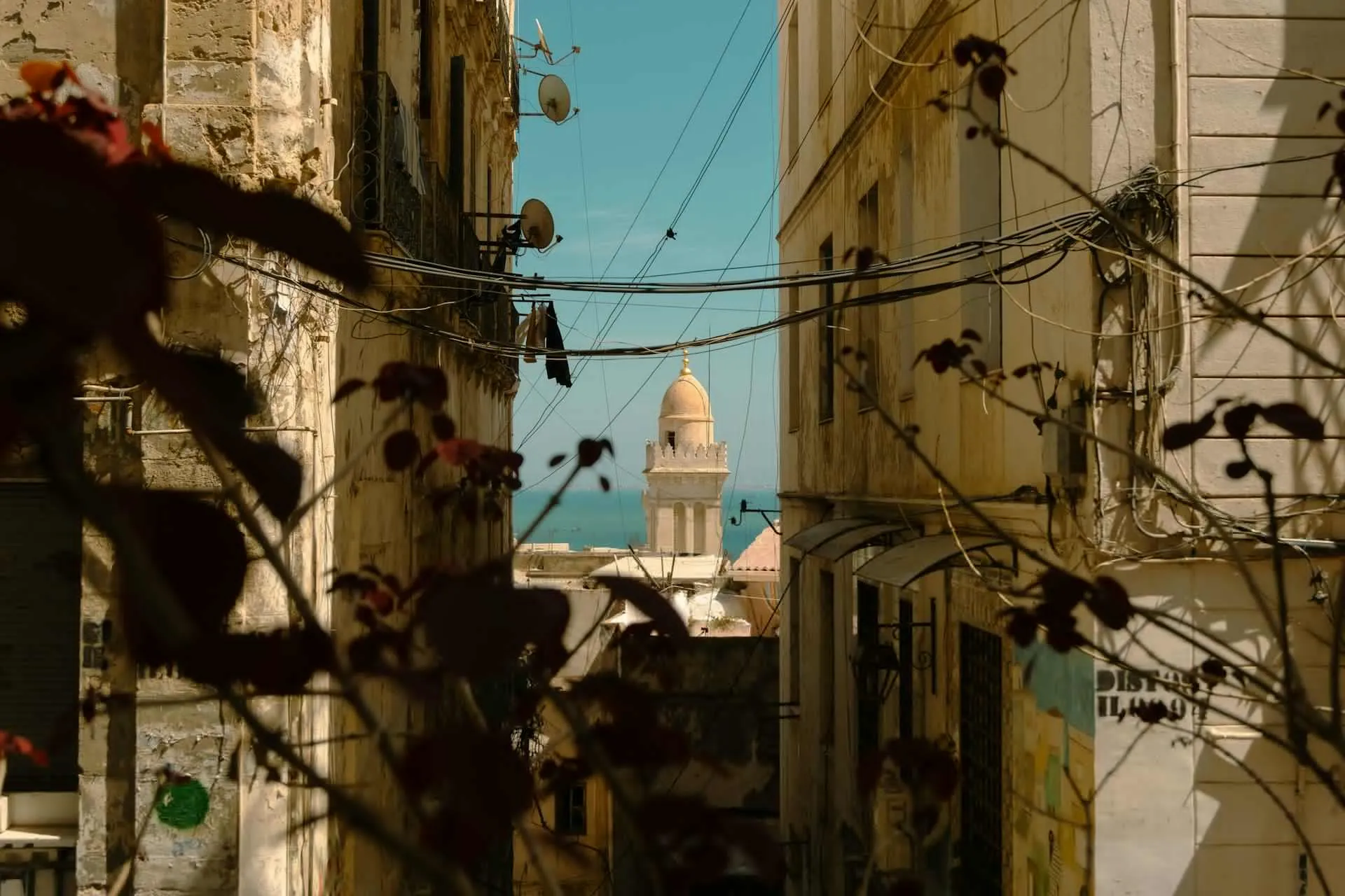Kurban Bayramı Özel Görkemli Tunus ve Antik Kentler Turu Türk Havayolları ile 3 Gece 4 Gün ATS001