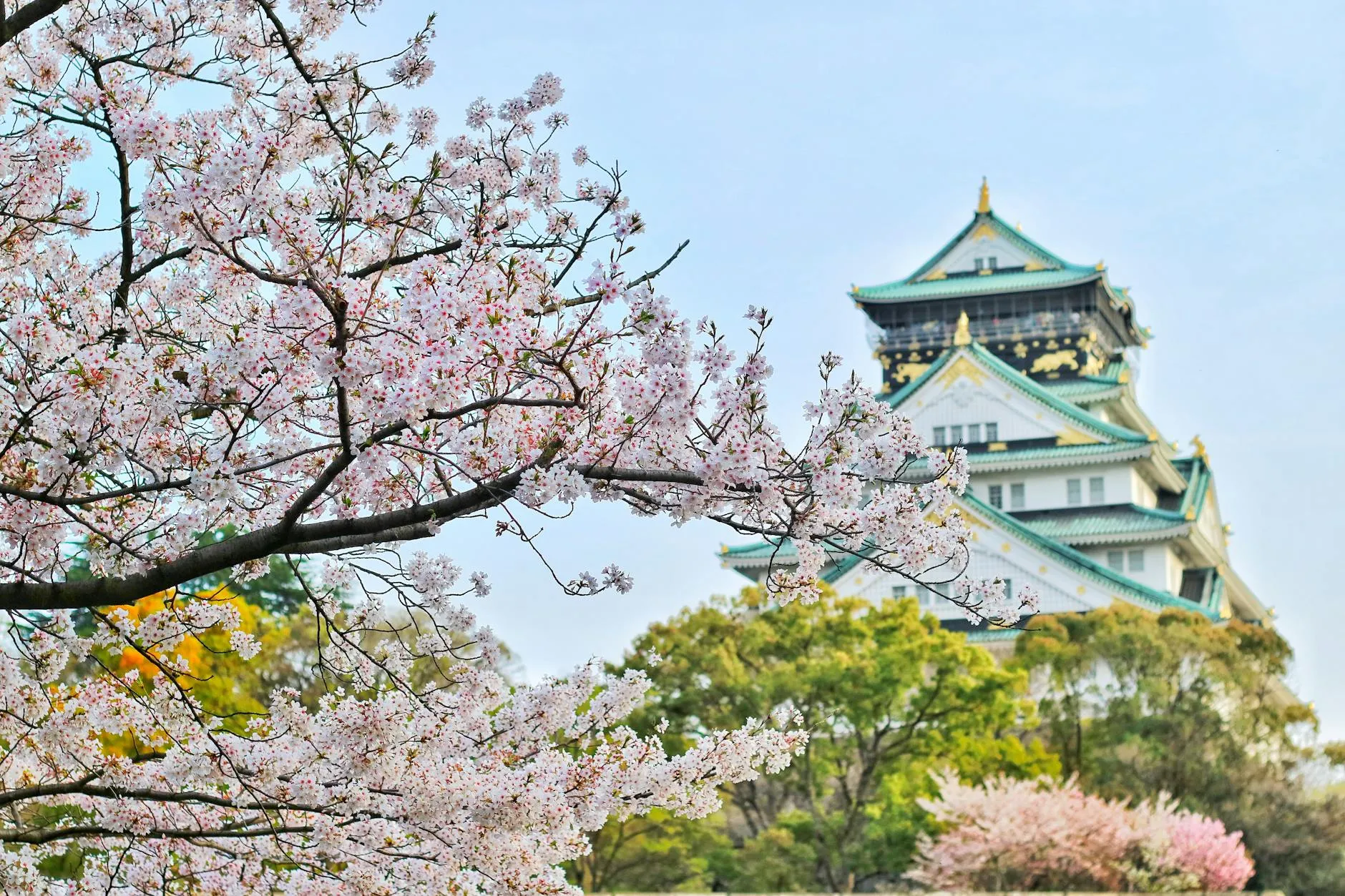 Japonya Turu Singapur Havayolları ile 8 Gece 11 Gün DD001